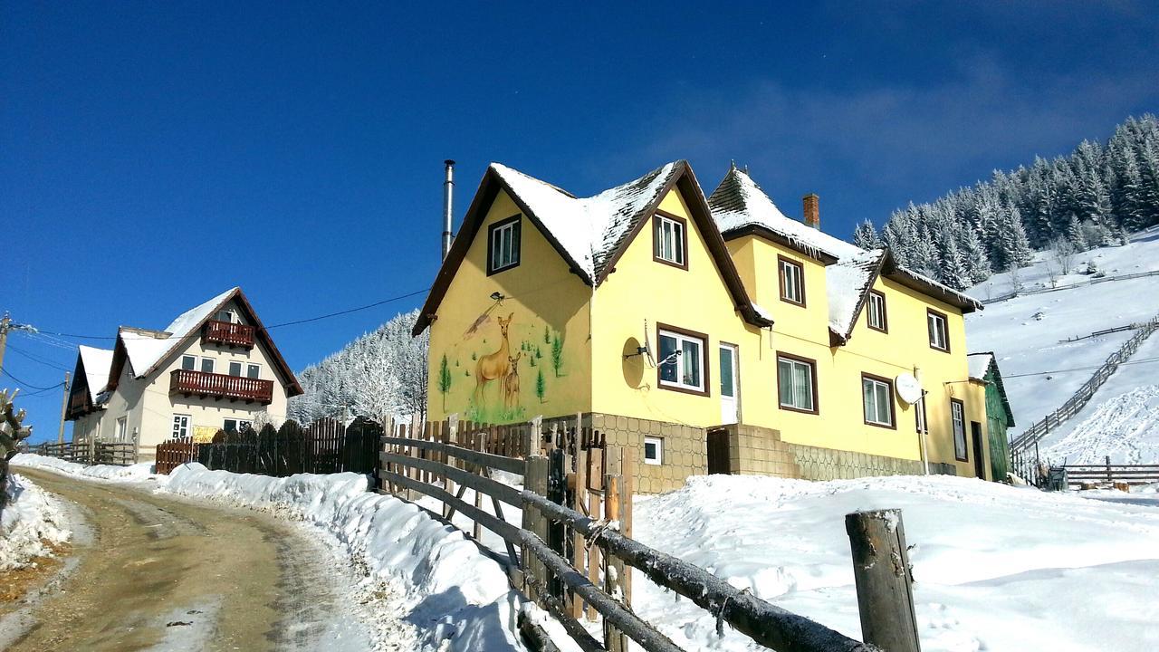 Casa Marcela Fundata Bagian luar foto