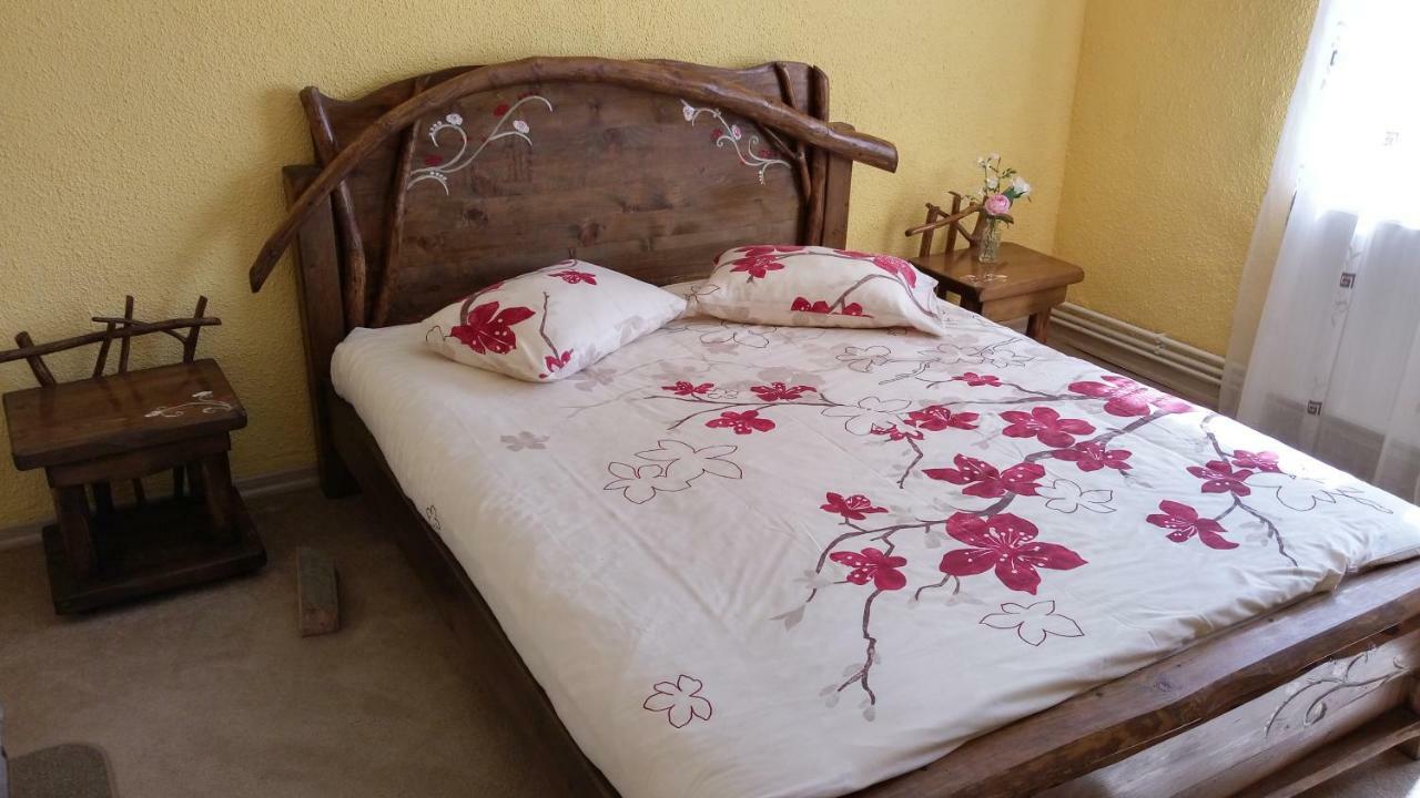 Casa Marcela Fundata Bagian luar foto